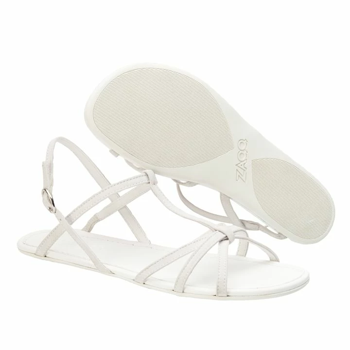 QADA White 2 QADA White – Bild 2