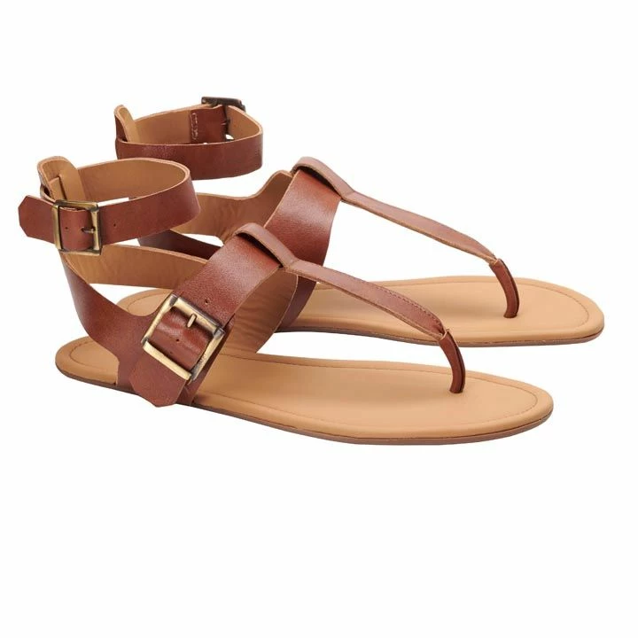 QAPRI Brown 1 QAPRI Brown