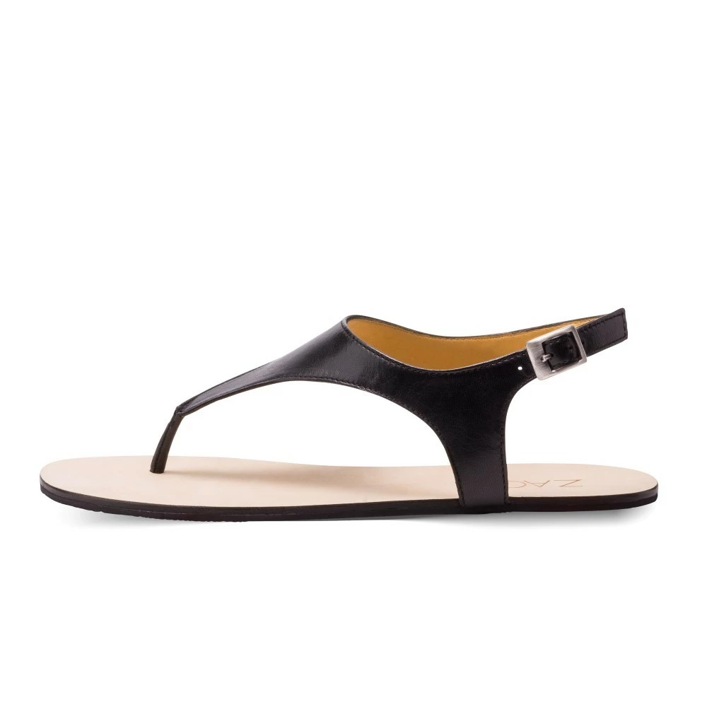 QAVA Black 2 QAVA Black – Bild 2