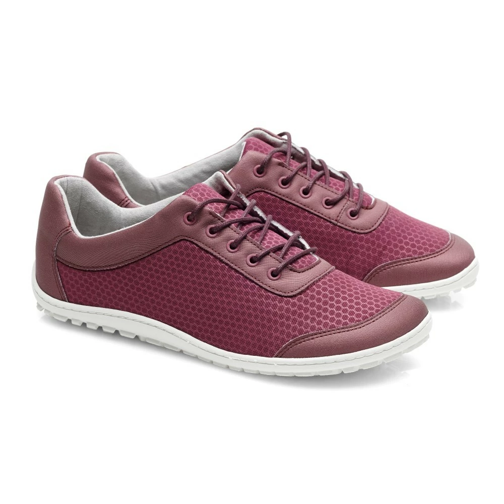 SQIP Bordeaux 1 SQIP Bordeaux